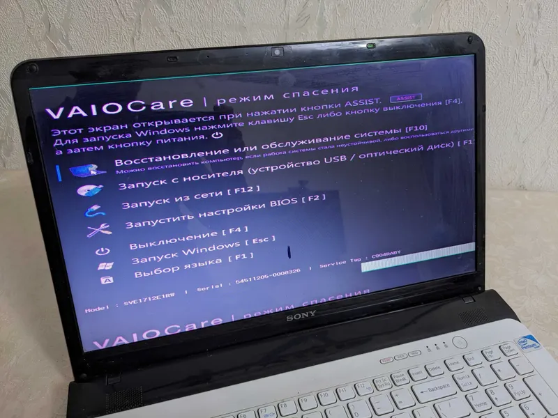 Sony VAIO + Toshiba Satellite — фото 3