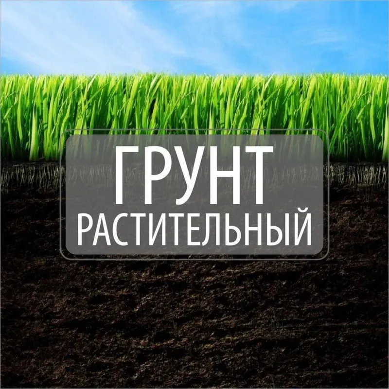 Биогомус Чернозем Оптом — фото 1