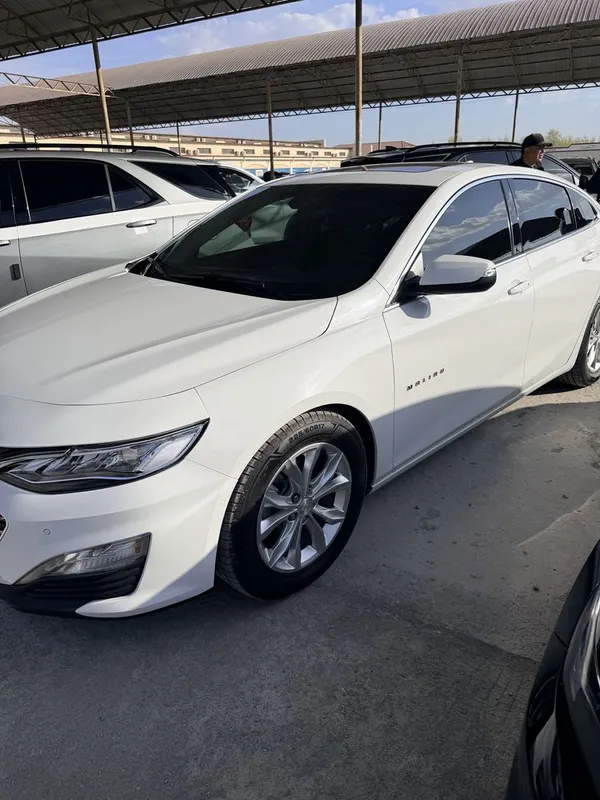 Malibu 2018 Meton bo premer 2
