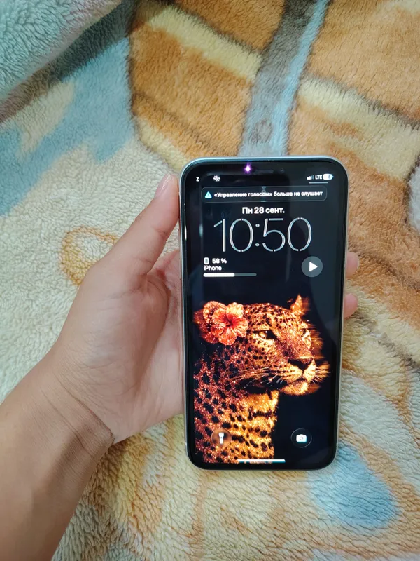 iPhone 11 2 iPhone 11 2