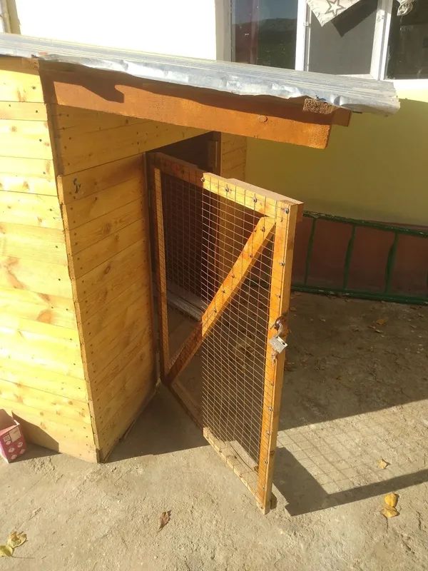 Домик для собака — фото 1