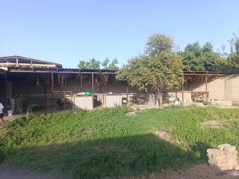 Продаю дачу MADANIYAT 7