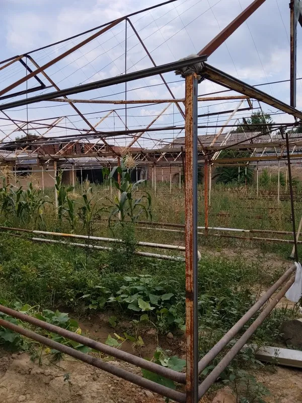 Teplisa sotiladi pul zarl kelishtrib beraman 1 Teplisa sotiladi pul zarl kelishtrib beraman 1