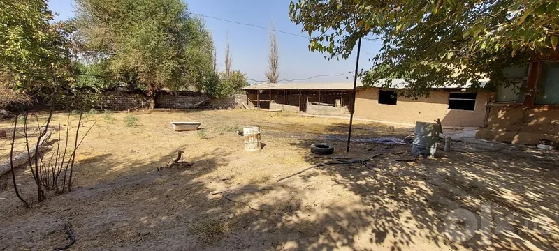 Qushqondi zangota tumani 7 Qushqondi zangota tumani 7