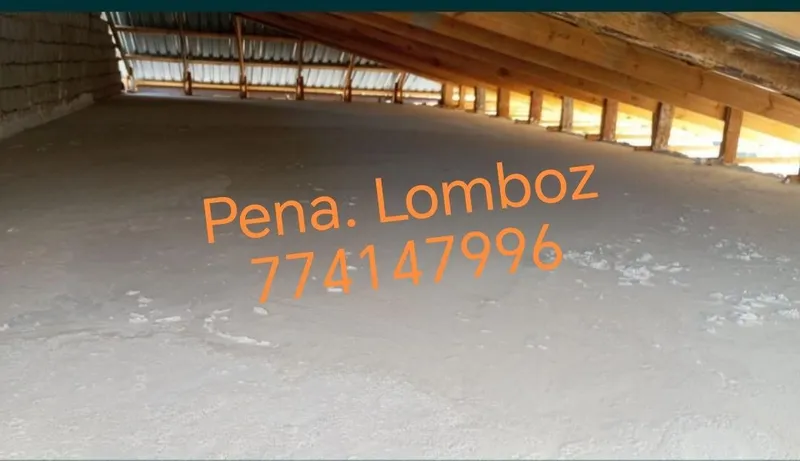 Pena lomboz xizmati 3