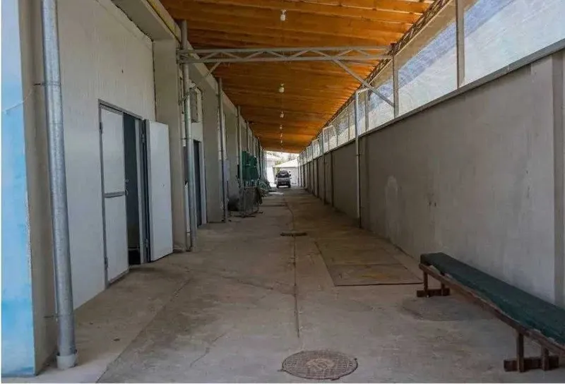 База-холодильник в Назарбеке 50-сот строения 18000 м² на 2000 тонн кур — фото 4