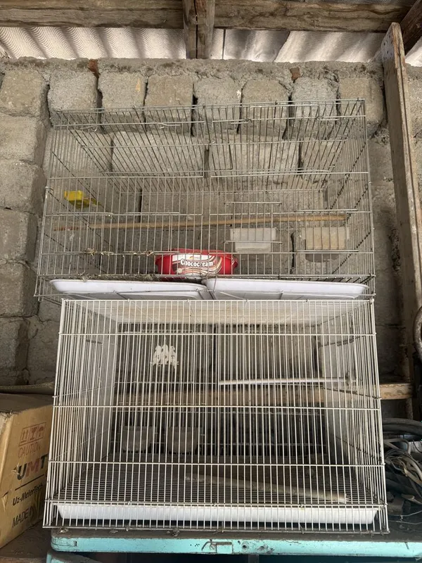 Qafaslar sotiladi 3