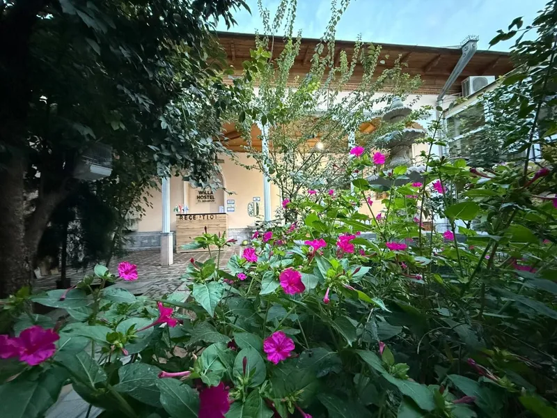 Hostel arzon kunlik — фото 1