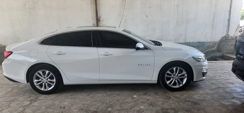 2019 yil 2.4 pirimer qilingan — фото 4