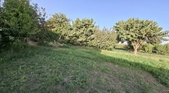 Продаётся участок — фото 4