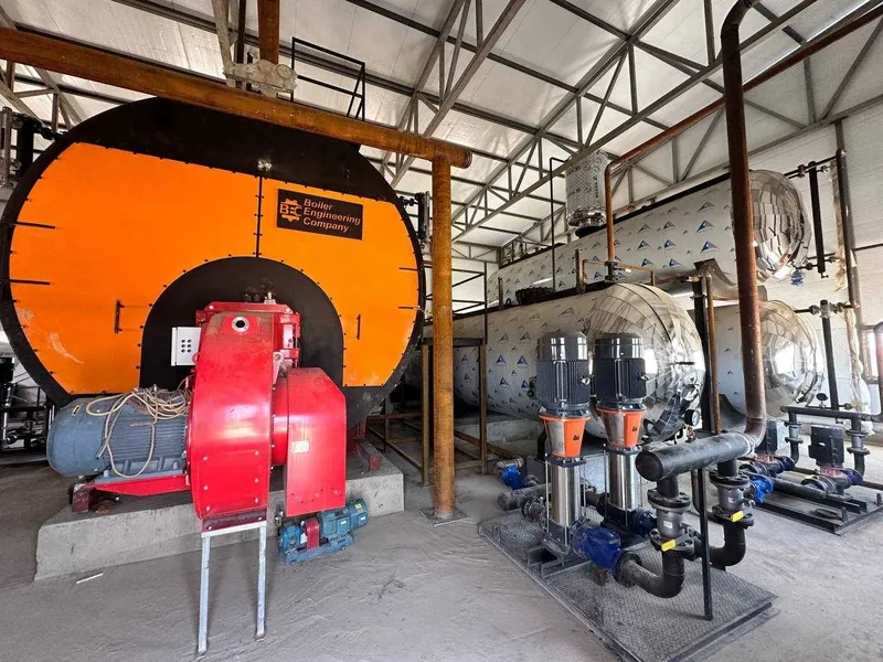 Паровой котел от Boiler Engineering — надёжный пар в каждый процесс! — фото 2