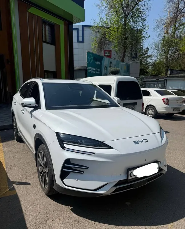 BYD Champion Smart 2 BYD Champion Smart 2