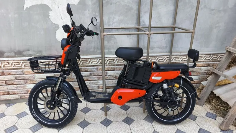 Drongo electric bike — фото 1