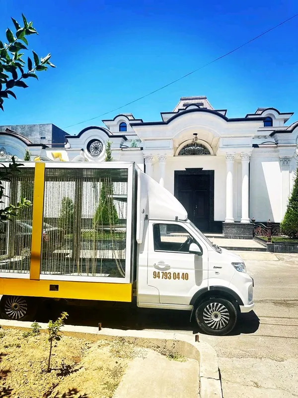 сарпо мошина — фото 1