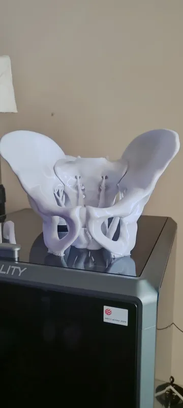3D bosib chiqarish va modellashtirish. 2