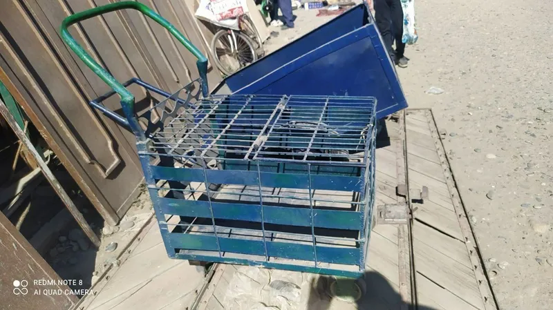 Svarka naveslar qlamz 2