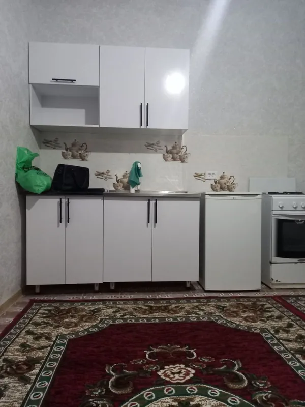 Корзинканын алдындагы домда барлык колайлыкларга ийе 1 ханалы квартир — фото 4