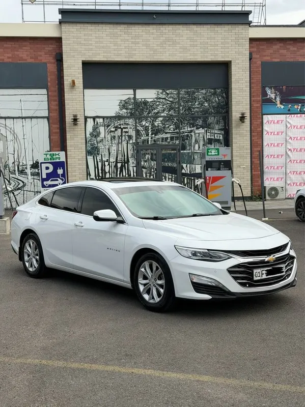 Malibu 2.4 Mator Kraskasi Tozza
