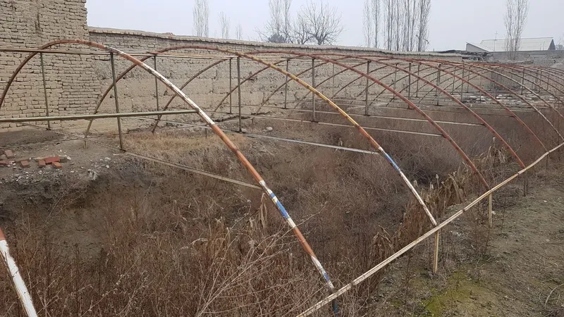 Teplitsa sotiladi