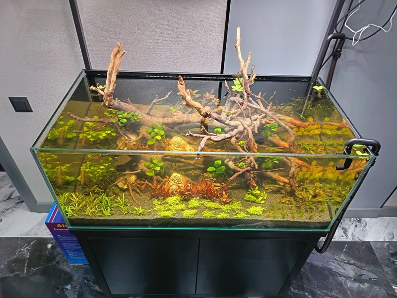 200 litrlik akvarium 3 200 litrlik akvarium 3