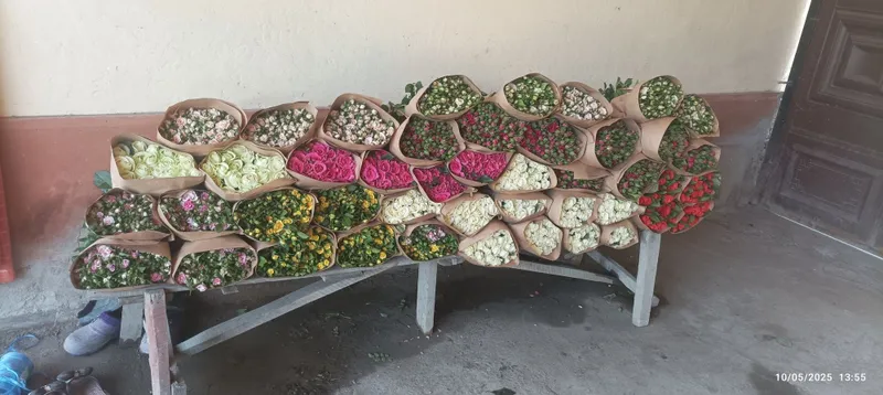 Atirgul koʻchatlari bor sotiladi 16 hil tayor pachkalap koʻmilgan — фото 7