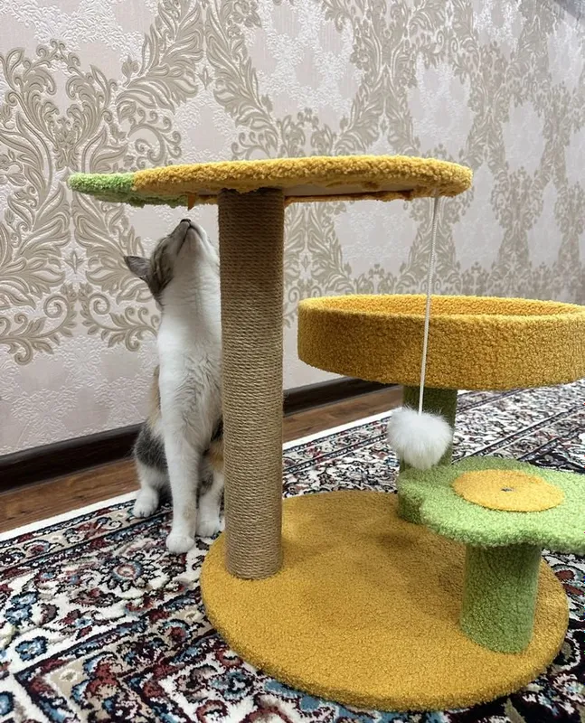 Кошачий домик в продаже 2