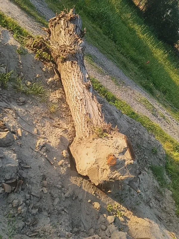 Енгок сотилади карватга