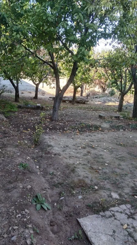 Srochna 3 sotix yer sotiladi