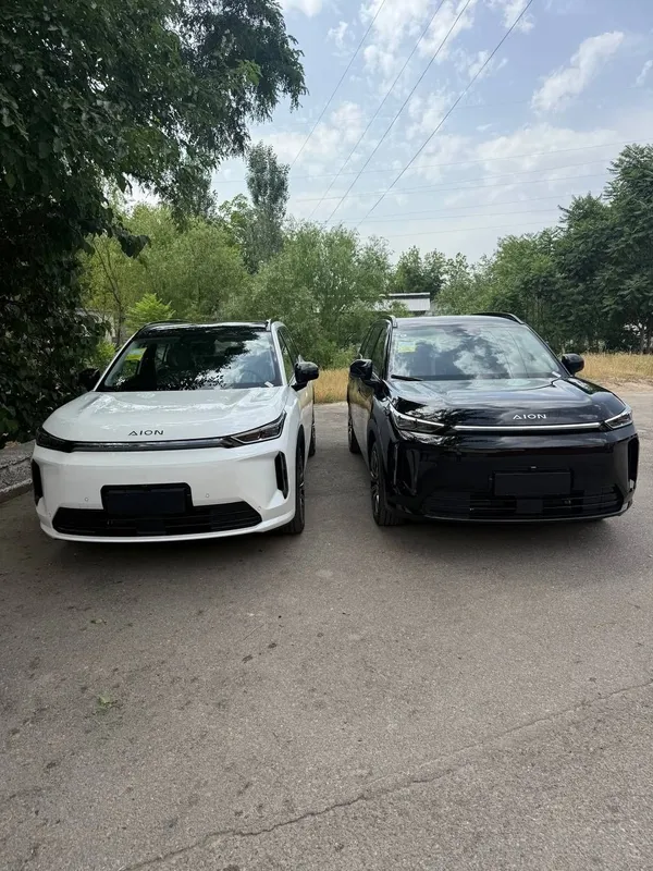 Gac Aion optom Narxlada
