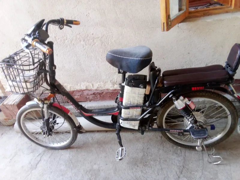 Elektiron velosepet 3