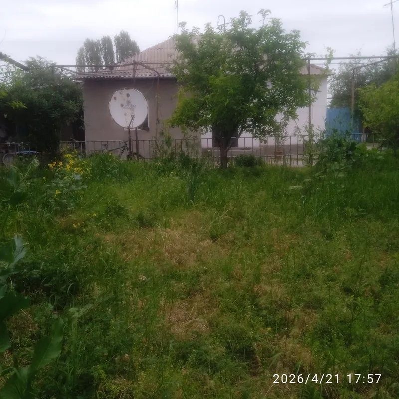 Уй сотилади , Бустонлик туманида Корманас кишлоги да 12 сотих — фото 4