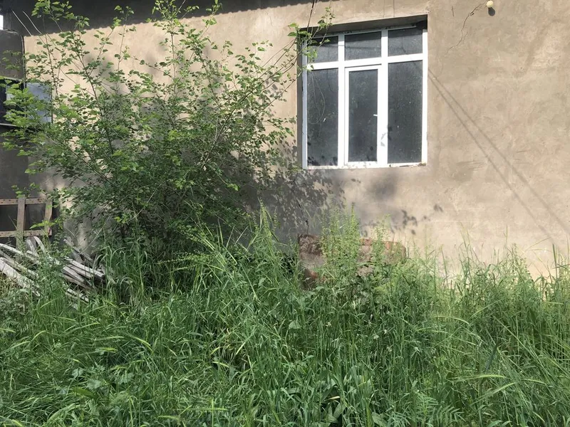 Аренда ер Зангиота Тарнов Мевазор махалласида — фото 2