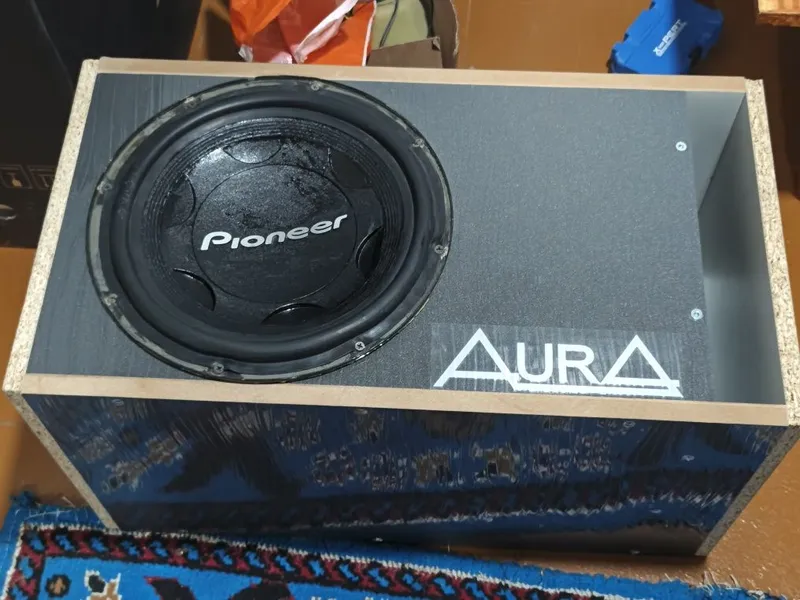 Pioneer sambufer ramashka 1