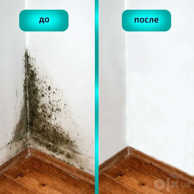 Muffasan: профессиональная защита стен от плесени и грибка 5 Muffasan: профессиональная защита стен от плесени и грибка 5