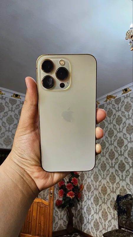 iPhone 13 pro
