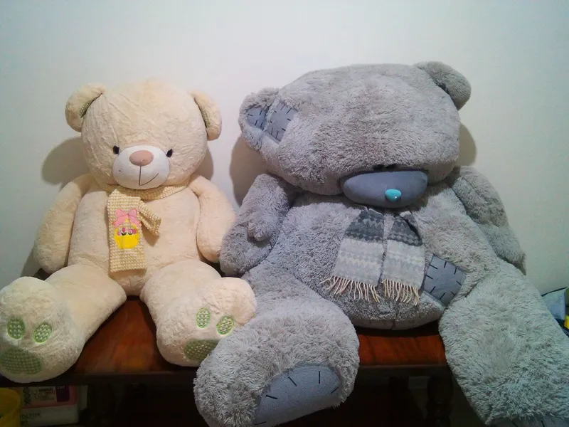 teddy ayiqlar SOTILADI teddy ayiqlar SOTILADI