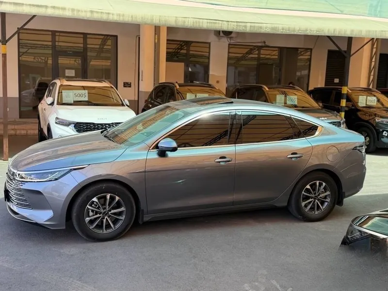 Byd Chazor 2026 2 lux pz 3 Byd Chazor 2026 2 lux pz 3
