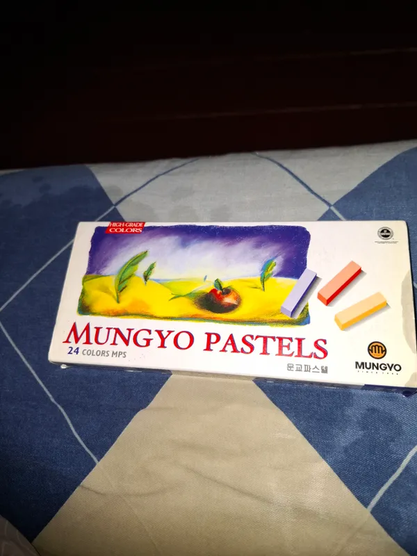 Badiiy bo‘rlar 24 rang mungyo pastels 2