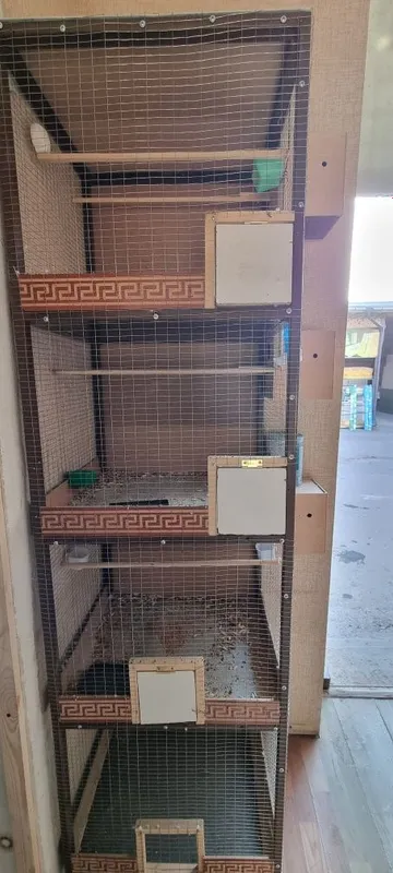 Клетка для птица — фото 1