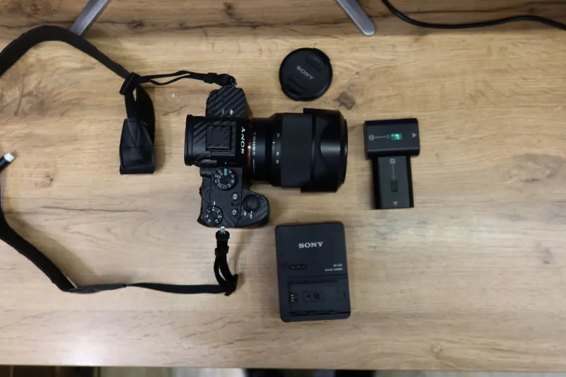 Sony alfa 7_3