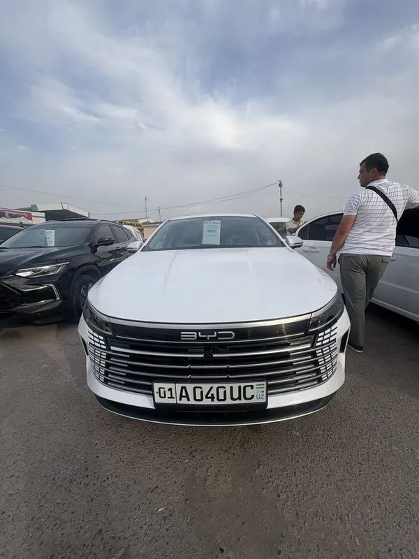 BYD CHAZOR 55 tali