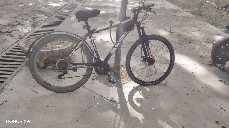 Velosiped sotladi