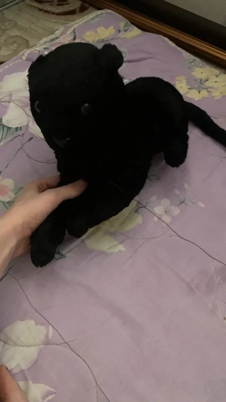 O‘yinchoq O‘yinchoq