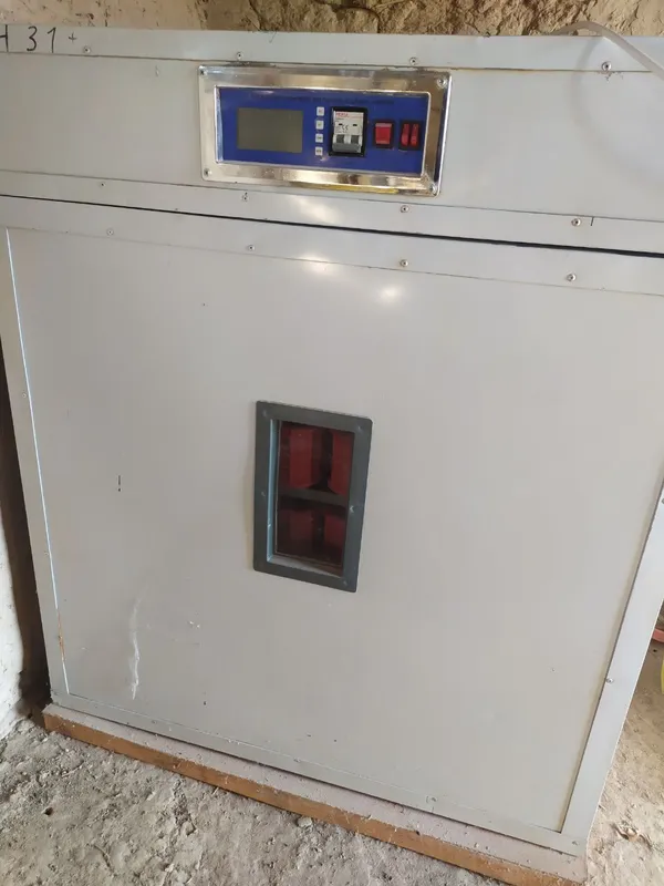 Inkubator foydalanishga tayyor