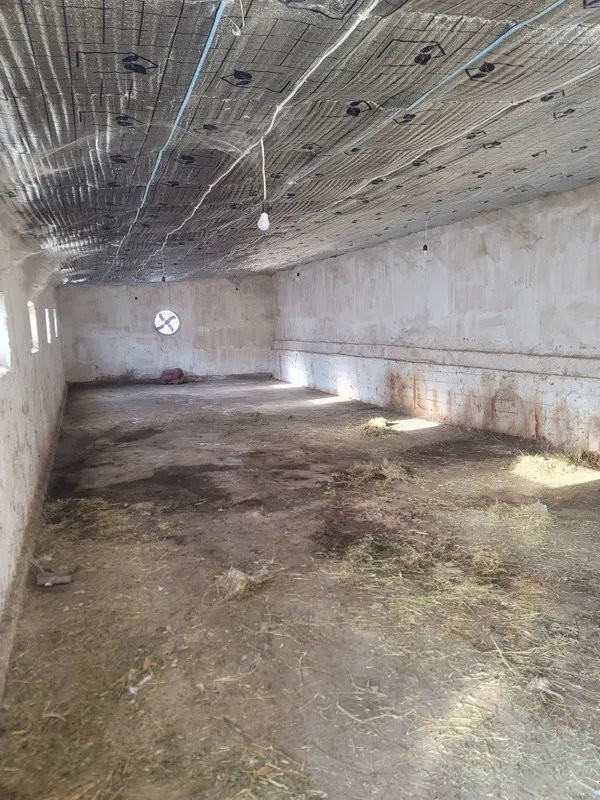 Продаю дачу и ферму в уртасарае. 3