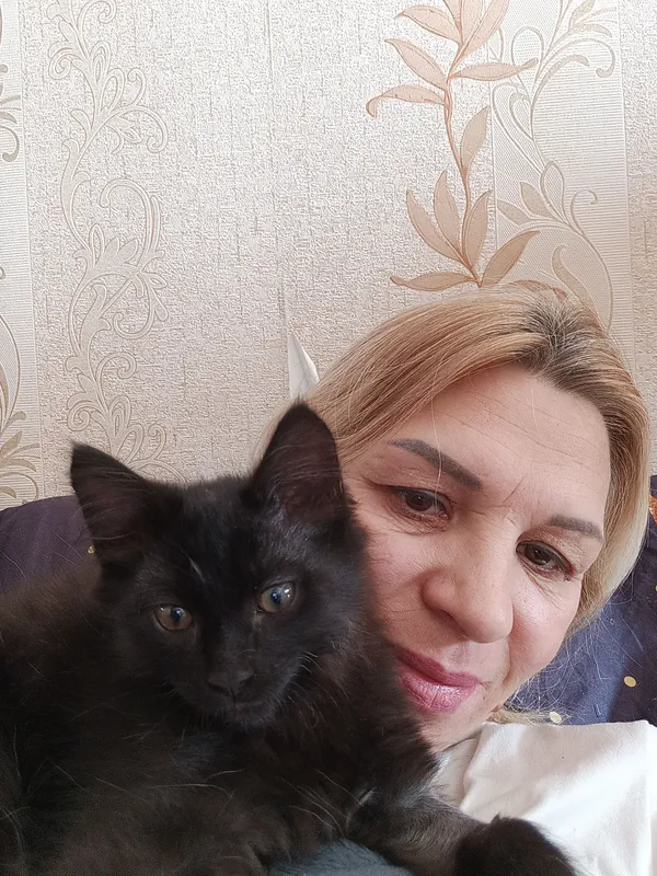 продам котят породы МЕЙН-КУН — фото 6