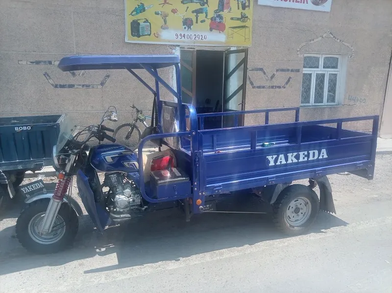 Муравей яакеда матор — фото 1