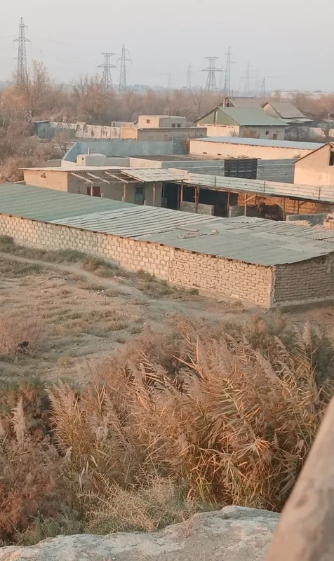 Dacha sotiladi Navoiy viloyati Karmana tumani yangi gres yonida 1 Dacha sotiladi Navoiy viloyati Karmana tumani yangi gres yonida 1