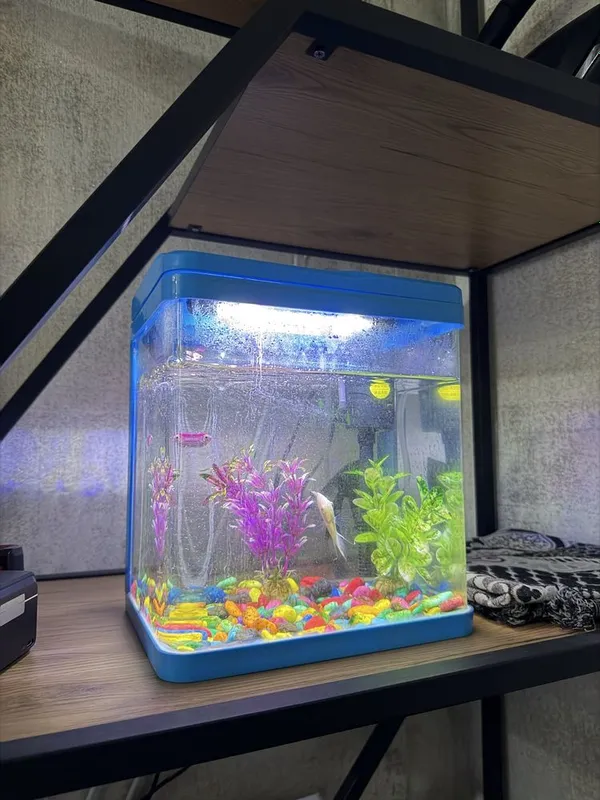 Akvarium sotiladi yaxshi holatda 2