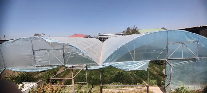 Parnik Teplitsa sotiladi srochna 4